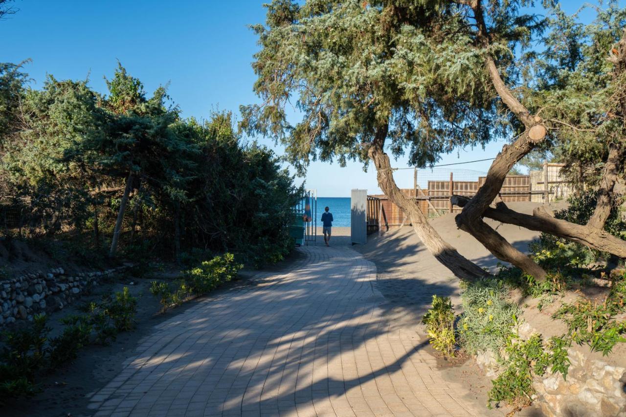 Camping Il Capannino Glamping Village Marina Di Bibbona Exterior photo